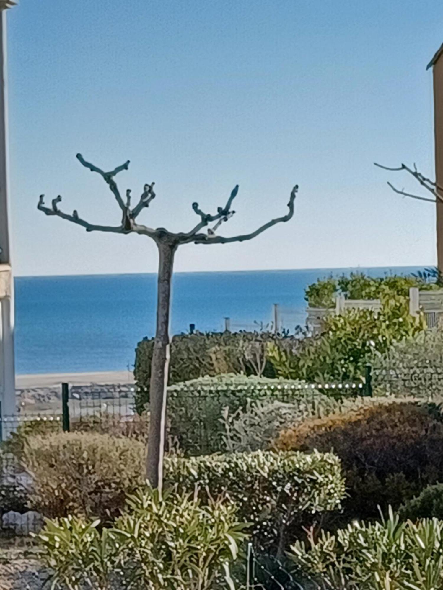 Plain-Pied Jardin 6 Personnes Clim Vue Mer Parking Wifi Terrasse Piscine Dans La Residence Saint-Pierre-la-Mer  외부 사진