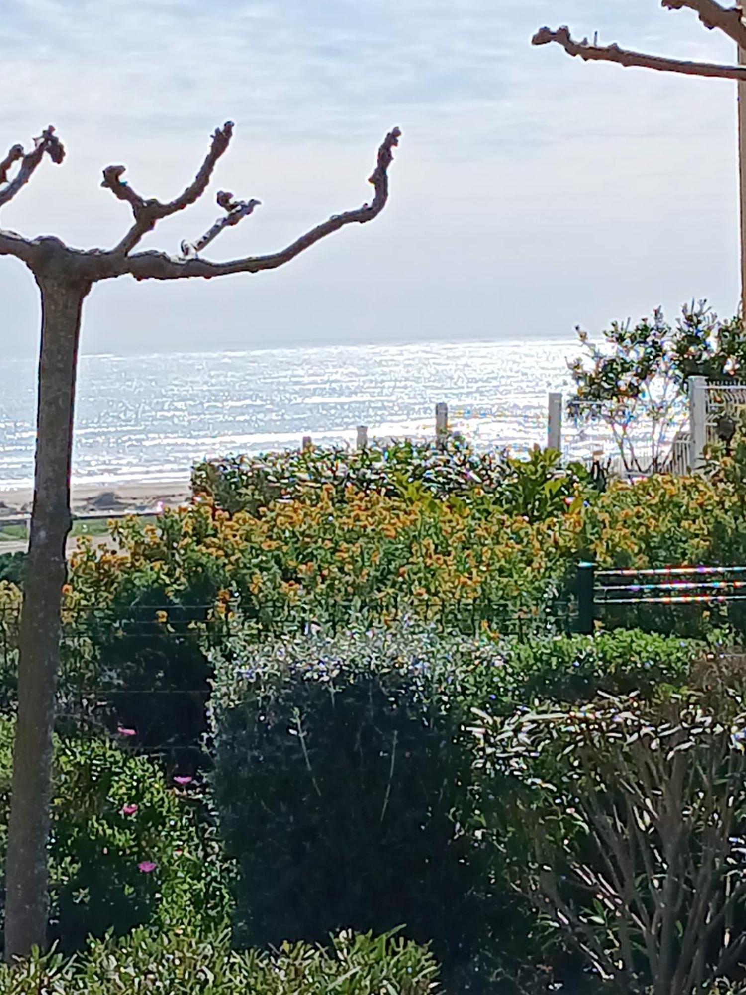 Plain-Pied Jardin 6 Personnes Clim Vue Mer Parking Wifi Terrasse Piscine Dans La Residence Saint-Pierre-la-Mer  외부 사진